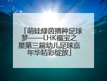 萌娃绿茵播种足球梦——LHK福宝之星第三届幼儿足球嘉年华精彩绽放