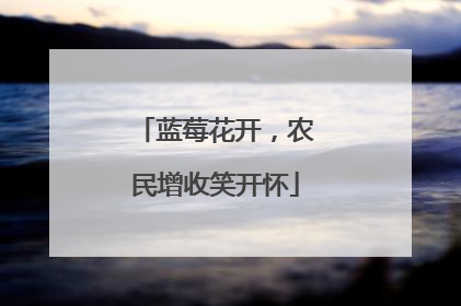 蓝莓花开，农民增收笑开怀