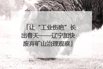 让“工业伤疤”长出春天——辽宁加快废弃矿山治理观察