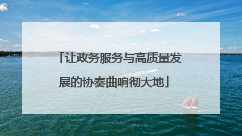 让政务服务与高质量发展的协奏曲响彻大地