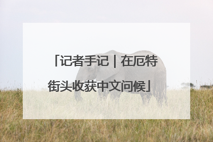 记者手记｜在厄特街头收获中文问候