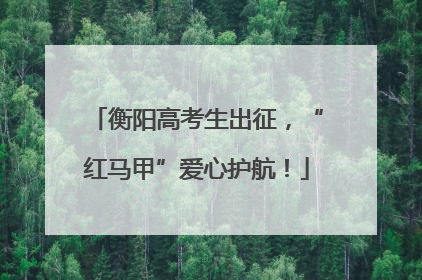 衡阳高考生出征，“红马甲”爱心护航！