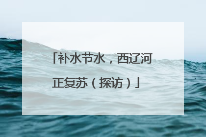 补水节水，西辽河正复苏（探访）