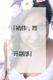 褚伟，晋升副部