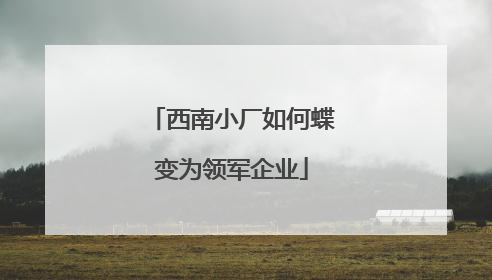 西南小厂如何蝶变为领军企业