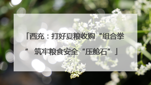 西充：打好夏粮收购“组合拳” 筑牢粮食安全“压舱石”