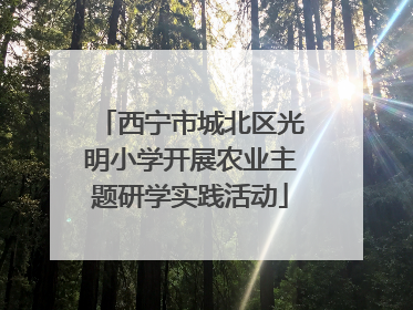 西宁市城北区光明小学开展农业主题研学实践活动
