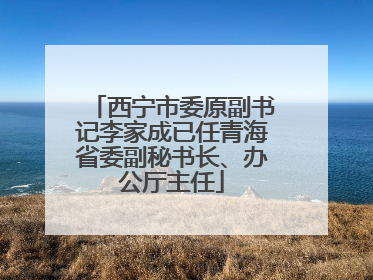西宁市委原副书记李家成已任青海省委副秘书长、办公厅主任