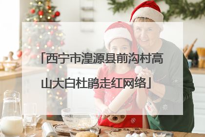西宁市湟源县前沟村高山大白杜鹃走红网络