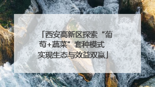 西安高新区探索“葡萄+蔬菜”套种模式 实现生态与效益双赢