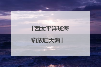 西太平洋斑海豹放归大海