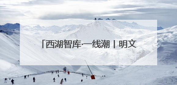 西湖智库·一线潮丨明文彪：创新雨林的制度密码