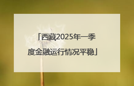 西藏2025年一季度金融运行情况平稳