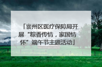 襄州区医疗保障局开展“粽香传情，家国情怀”端午节主题活动