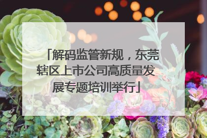 解码监管新规，东莞辖区上市公司高质量发展专题培训举行