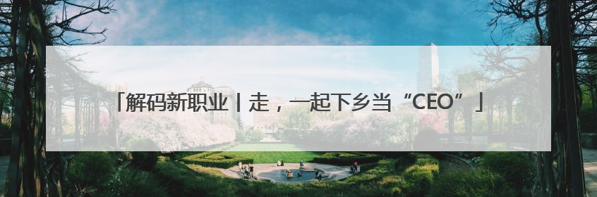 解码新职业丨走，一起下乡当“CEO”