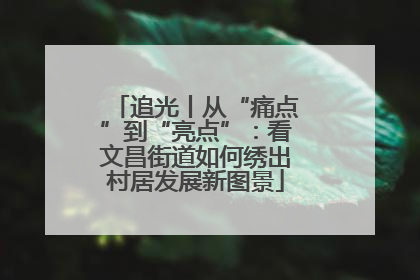 追光丨从“痛点”到“亮点”：看文昌街道如何绣出村居发展新图景