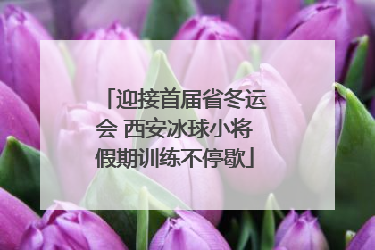 迎接首届省冬运会 西安冰球小将假期训练不停歇