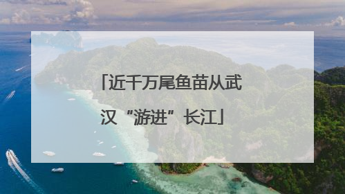 近千万尾鱼苗从武汉“游进”长江