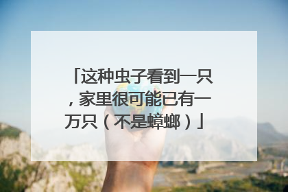 这种虫子看到一只，家里很可能已有一万只（不是蟑螂）