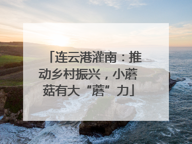 连云港灌南：推动乡村振兴，小蘑菇有大“蘑”力
