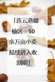 连云港赣榆区：50余万亩小麦陆续进入收割期