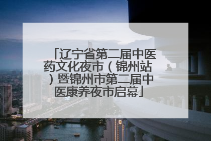 辽宁省第二届中医药文化夜市（锦州站）暨锦州市第二届中医康养夜市启幕