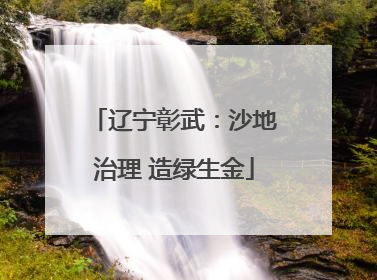 辽宁彰武：沙地治理 造绿生金