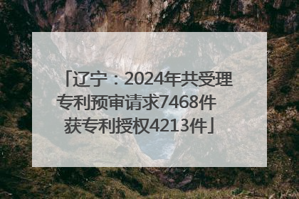 辽宁：2024年共受理专利预审请求7468件 获专利授权4213件