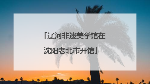 辽河非遗美学馆在沈阳老北市开馆