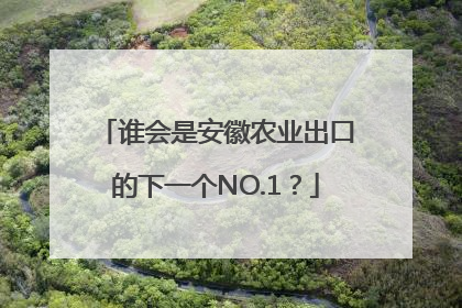 谁会是安徽农业出口的下一个NO.1？