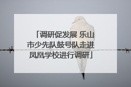调研促发展 乐山市少先队鼓号队走进凤凰学校进行调研