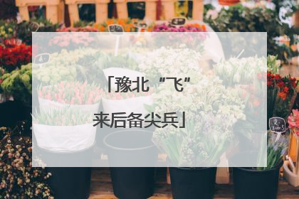 豫北“飞”来后备尖兵