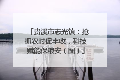 贵溪市志光镇：抢抓农时促丰收，科技赋能保粮安（图）