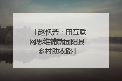 赵艳芳：用互联网思维铺就固阳县乡村助农路