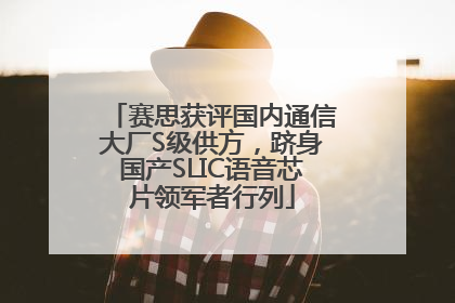 赛思获评国内通信大厂S级供方，跻身国产SLIC语音芯片领军者行列