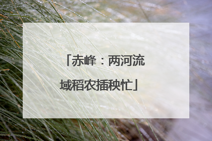 赤峰：两河流域稻农插秧忙