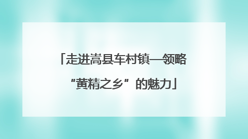走进嵩县车村镇—领略“黄精之乡”的魅力