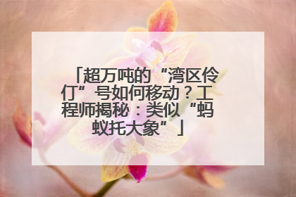 超万吨的“湾区伶仃”号如何移动？工程师揭秘：类似“蚂蚁托大象”
