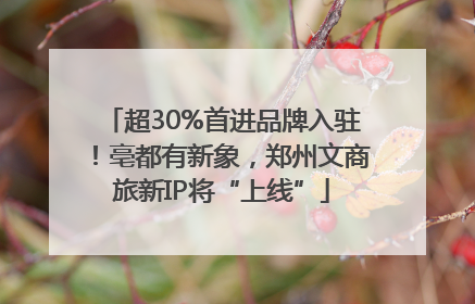 超30%首进品牌入驻！亳都有新象，郑州文商旅新IP将“上线”