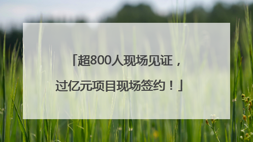 超800人现场见证，过亿元项目现场签约！