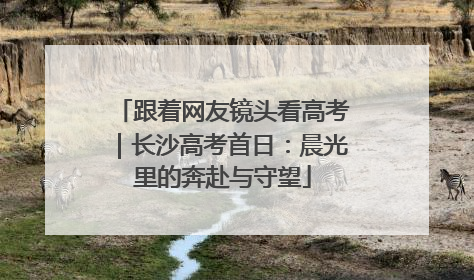 跟着网友镜头看高考｜长沙高考首日：晨光里的奔赴与守望