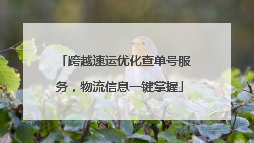 跨越速运优化查单号服务，物流信息一键掌握