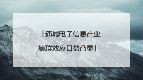 通城电子信息产业集群效应日益凸显