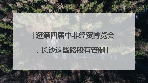 逛第四届中非经贸博览会，长沙这些路段有管制
