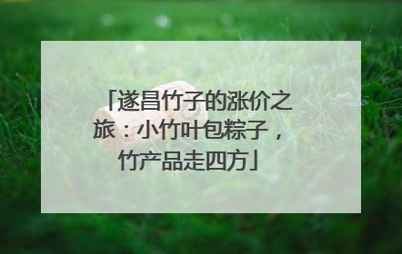 遂昌竹子的涨价之旅：小竹叶包粽子，竹产品走四方