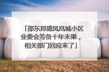 邵东邦盛凤凰城小区业委会筹备十年未果，相关部门回应来了