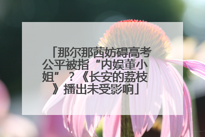 那尔那茜妨碍高考公平被指“内娱董小姐”？《长安的荔枝》播出未受影响