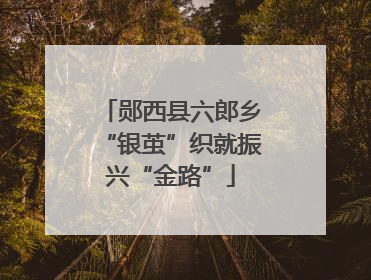 郧西县六郎乡“银茧”织就振兴“金路”
