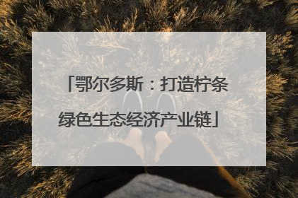 鄂尔多斯：打造柠条绿色生态经济产业链
